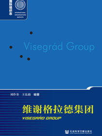 维谢格拉德集团