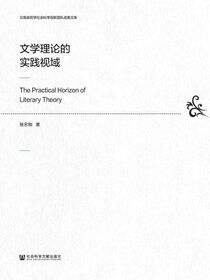 文学理论的实践视域