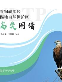 青铜峡库区湿地自然保护区鸟类图谱