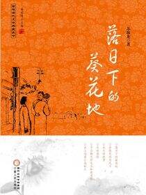 落日下的葵花地