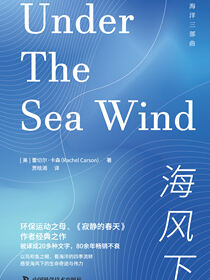 海风下