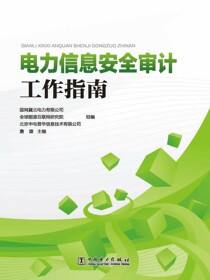 电力信息安全审计工作指南