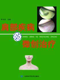 肩部疾病的微创治疗