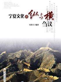 宁夏文化的纵与横刍议