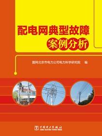 配电网典型故障案例分析