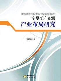 宁夏矿产资源产业布局研究