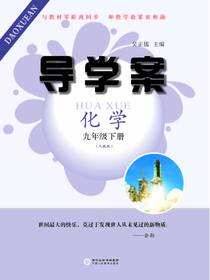 导学案:人教版.九年级化学.下册