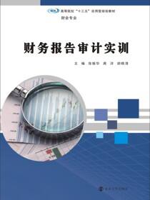 财务报告审计实训