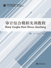 审计综合模拟实训教程
