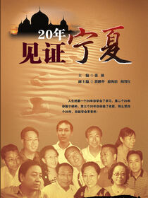 20年见证宁夏