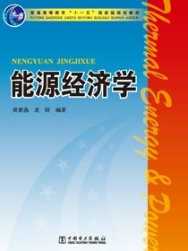 能源经济学