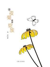 像夜菊那样绽放