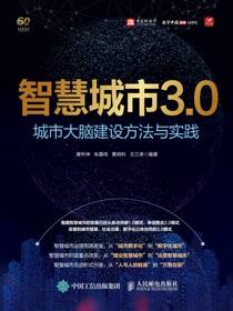智慧城市3.0：城市大脑建设方法与实践