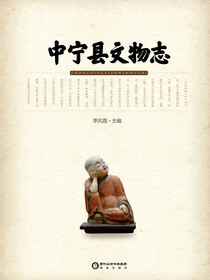 中宁县文物志