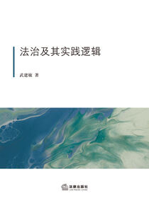 法治及其实践逻辑
