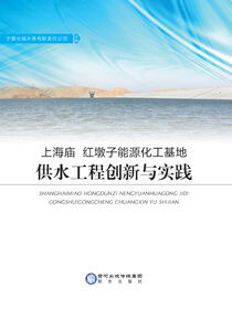 上海庙、红墩子能源化工基地供水工程创新与实践