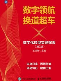 数字领航 换道超车：数字化转型实践探索（第2版）