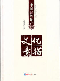 中国品牌地产文化素描