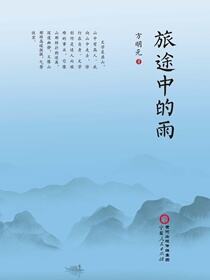 旅途中的雨