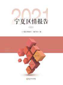 宁夏区情报告.2021.上