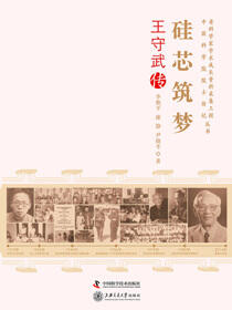 硅芯筑梦：王守武传