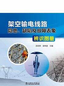 架空输电线路隐患、缺陷及故障表象辨识图册