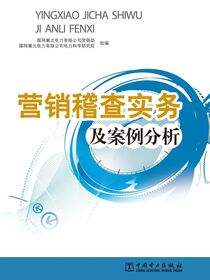 营销稽查实务及案例分析