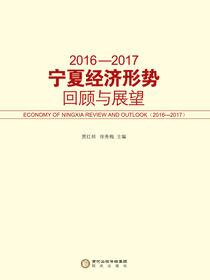 2016—2017宁夏经济形势回顾与展望
