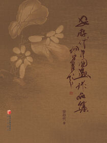 安存代中国画作品集