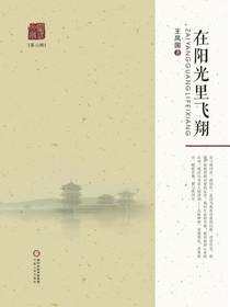 在阳光里飞翔