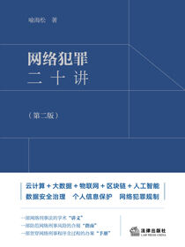 网络犯罪二十讲（第2版）