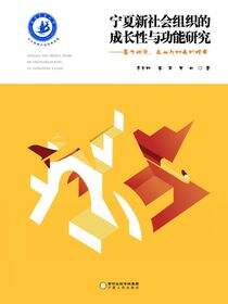 宁夏新社会组织的成长性与功能研究：基于政府、企业与社会的视角