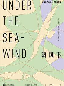 海风下