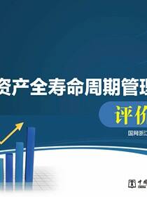资产全寿命周期管理体系评价标准