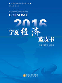 2016宁夏经济蓝皮书