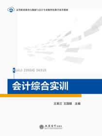 会计综合实训
