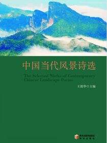 中国当代风景诗选
