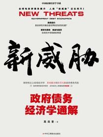 新威胁：政府债务经济学通解
