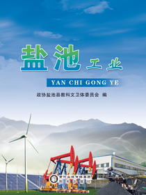 盐池工业