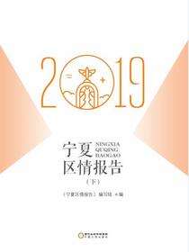 宁夏区情报告.2019.下