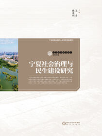 宁夏社会治理与民生建设研究