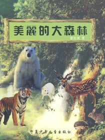 美丽的大森林