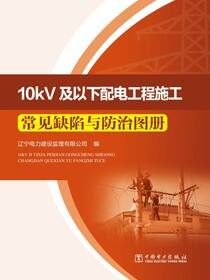 10kV及以下配电工程施工常见缺陷与防治图册