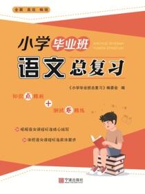 小学毕业班语文总复习