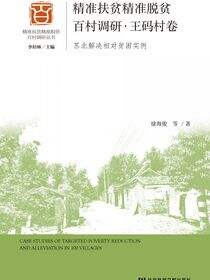 精准扶贫精准脱贫百村调研·王码村卷：苏北解决相对贫困实例