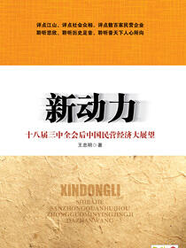 新动力：十八届三中全会后中国民营经济大展望