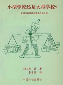 小型学校还是大型学校？农村学校规模的成本效益分析