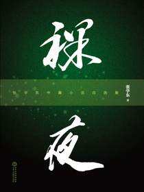 裸夜：张学东中篇小说自选集