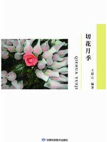 切花月季