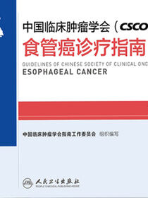 中国临床肿瘤学会(CSCO)食管癌诊疗指南2019